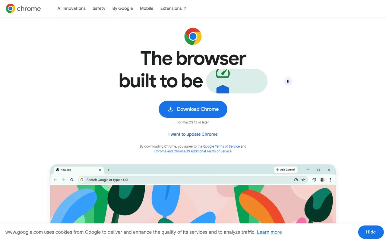 Google Chrome website screenshot