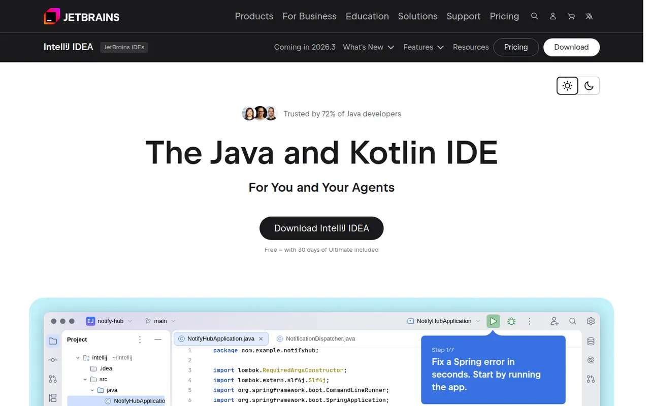 IntelliJ IDEA website screenshot