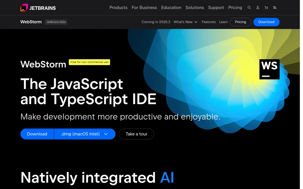 WebStorm website screenshot